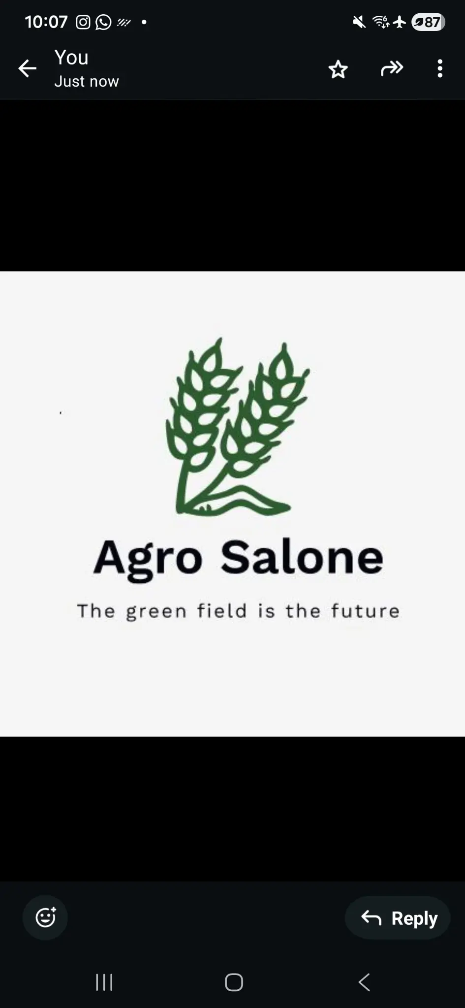 Agro Salone Ltd